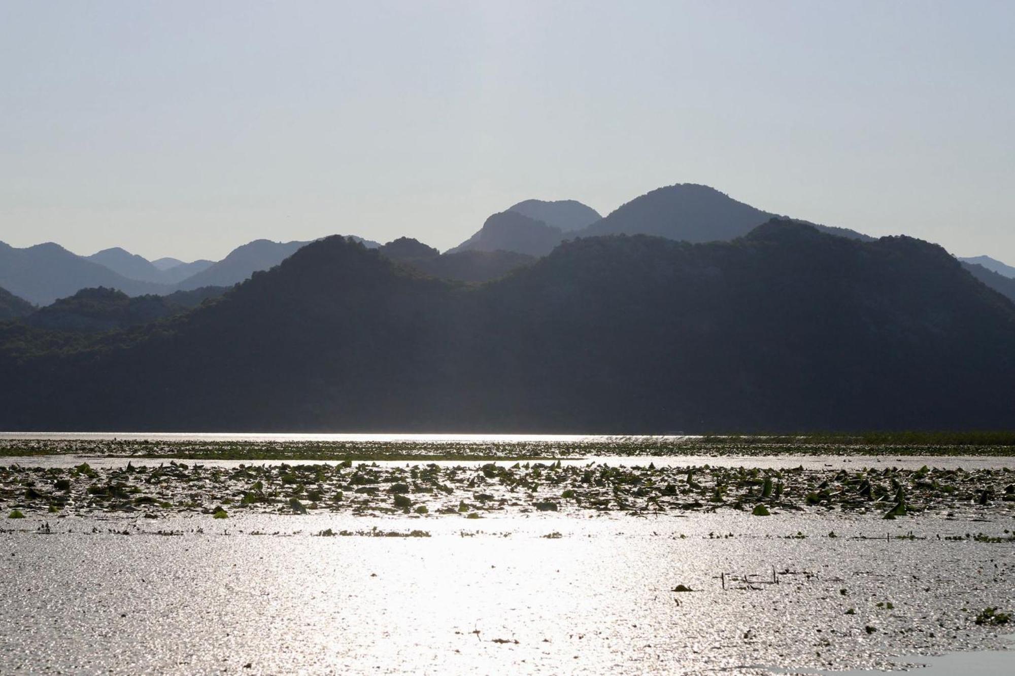 Jg Sunny Balcony Skadar