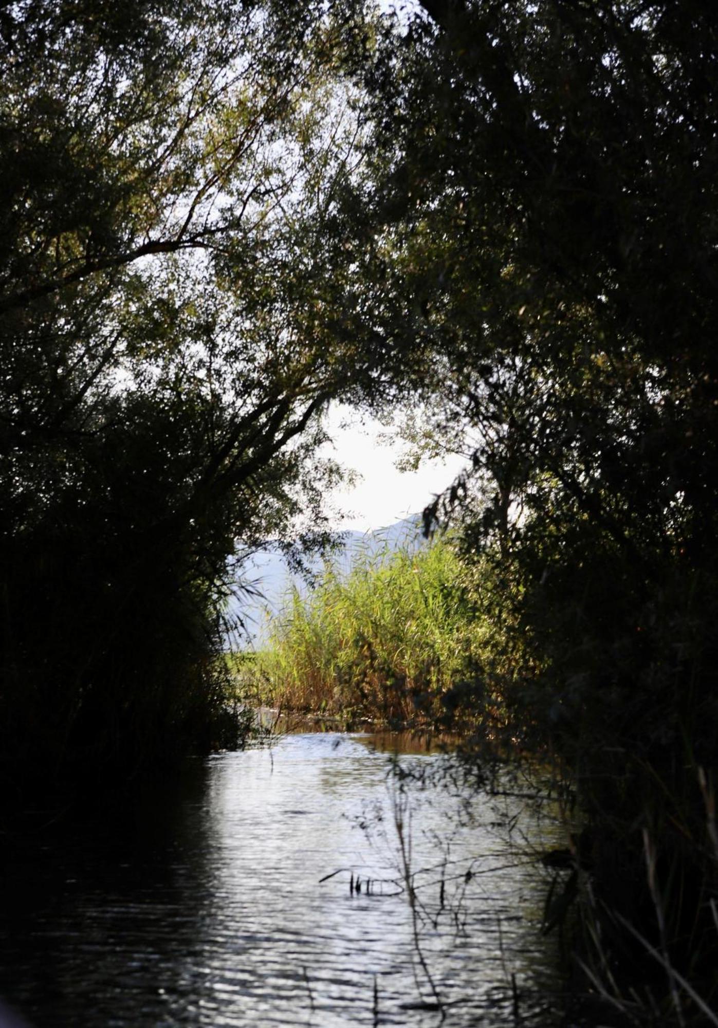 Jg Sunny Balcony Skadar Appartamento